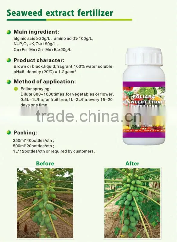 seaweed extract