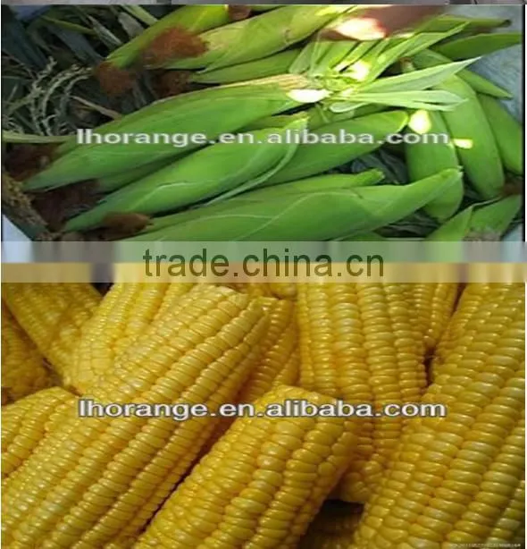 sweet corn husker machine for sale
