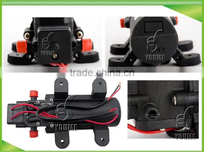 DC Pest control pressure sprayer pump