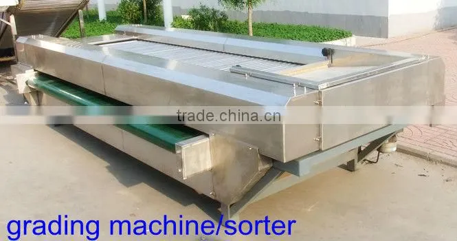 stainless steel food washing machine