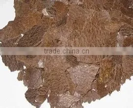 high quality olive oil extraction machine/seed oil extraction machine/palm kernel oil extraction machine