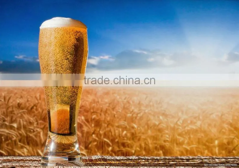 Stainless steel home brewing equipment