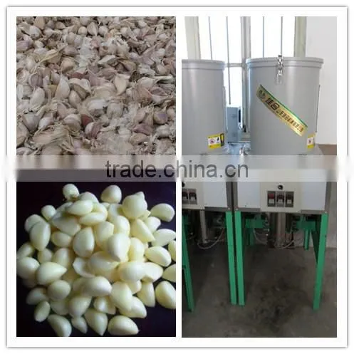 100% true factory supply garlic peeling machine with CE certification