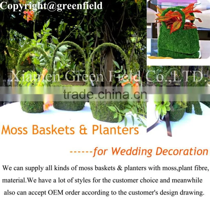 Biodegradable Natural Fiber Planter