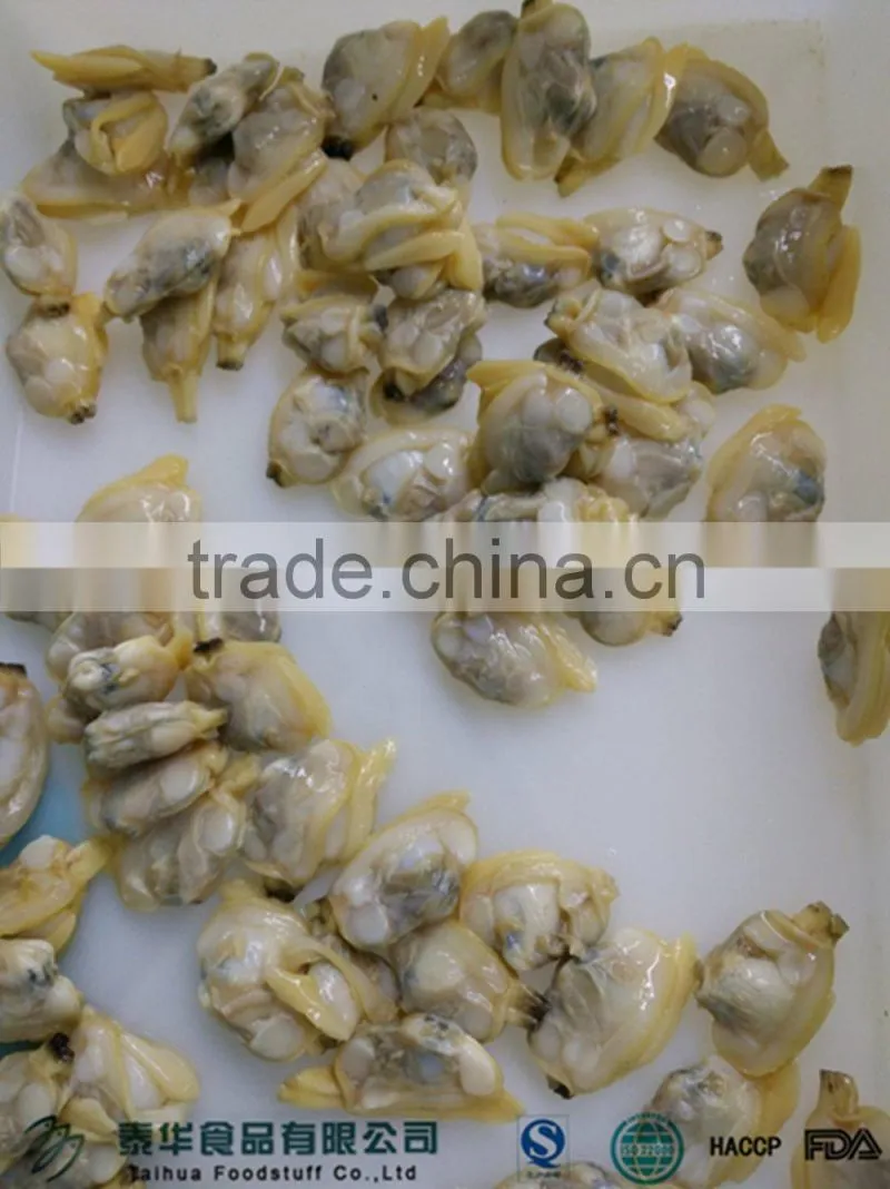 Good quality seafood frozen clam meat on sale