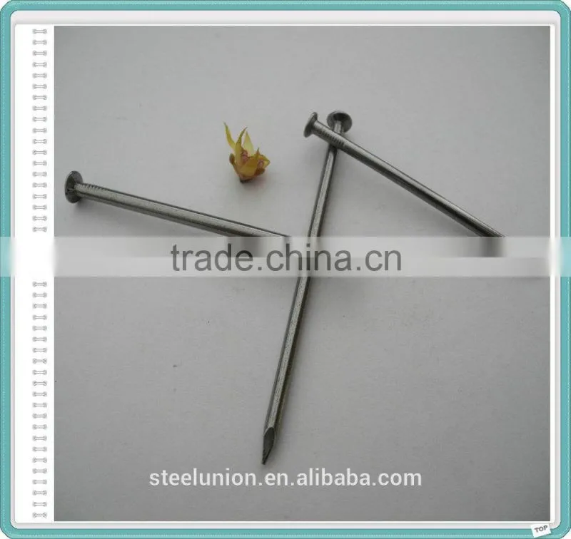Iron Nail/Common Wire Nail/Common Iron Nails