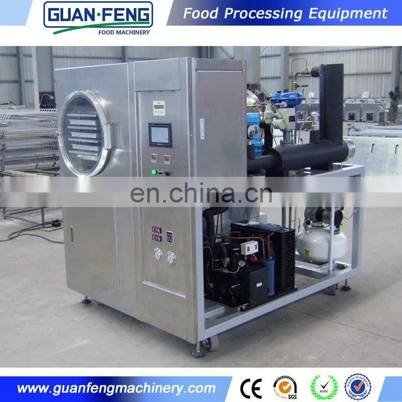 Vacuum Freeze Dryer Dryer Equipment