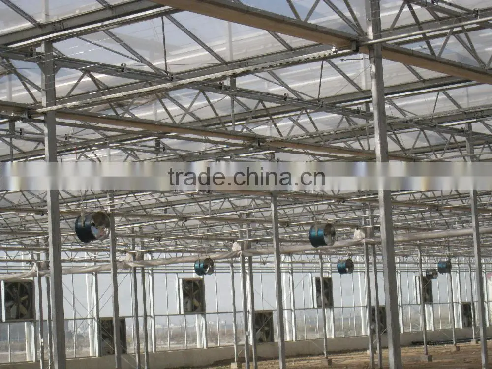 Agricultural Commercial Greenhouse