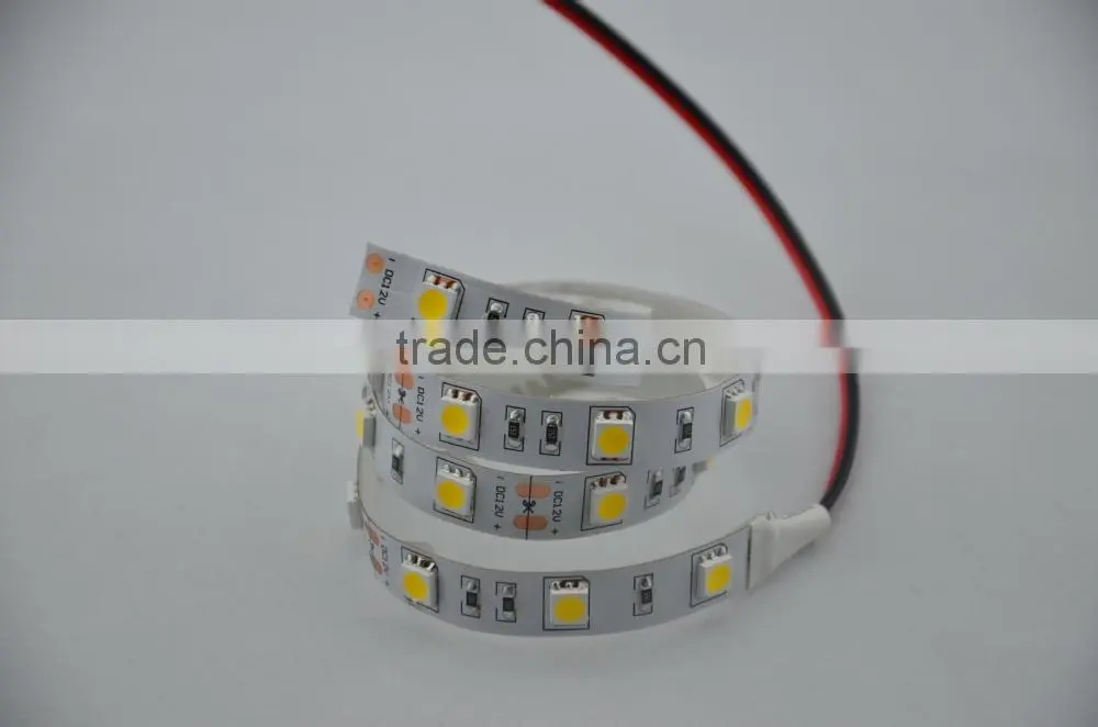 Best Led Lighting Factory 12V/24V Led Strip Light SMD3528 5050