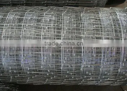 Stainles Wire Grassland Fence