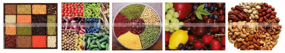 Food Z conveyer