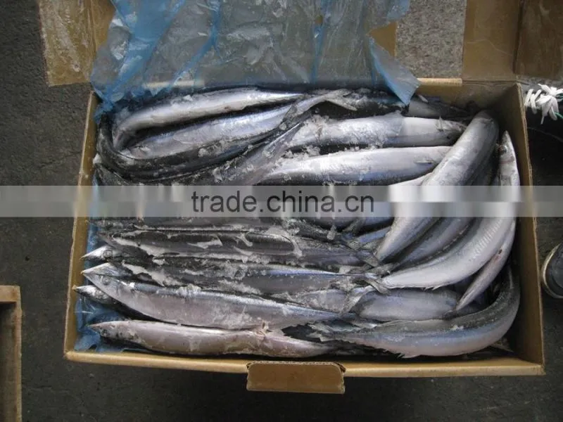 frozen saury