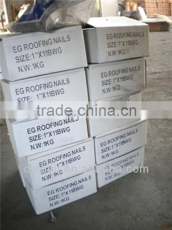 zinc plated clout nail for ceiling factory of linyi shandong