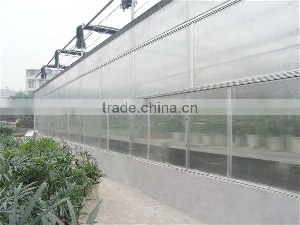 venlo 10mm polycarbonate greenhouse