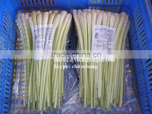 HOT PRODUCT 2016 FROZEN LEMONGRASS - HIGH QUALITY FROM VIETNAM