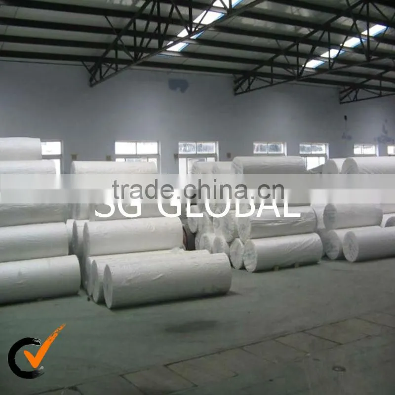 2013 NEW pe tarpaulin sheet