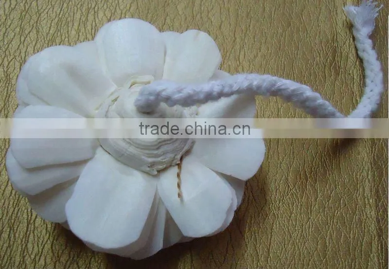 Natural sola flower diffuser