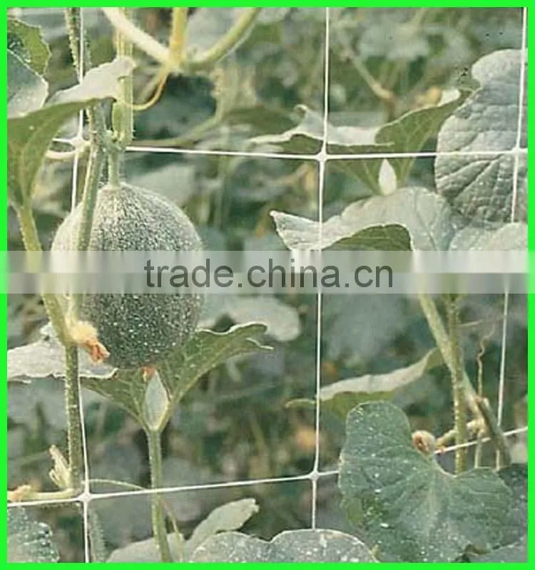 uv coated garden plastic mesh tomato climbing net