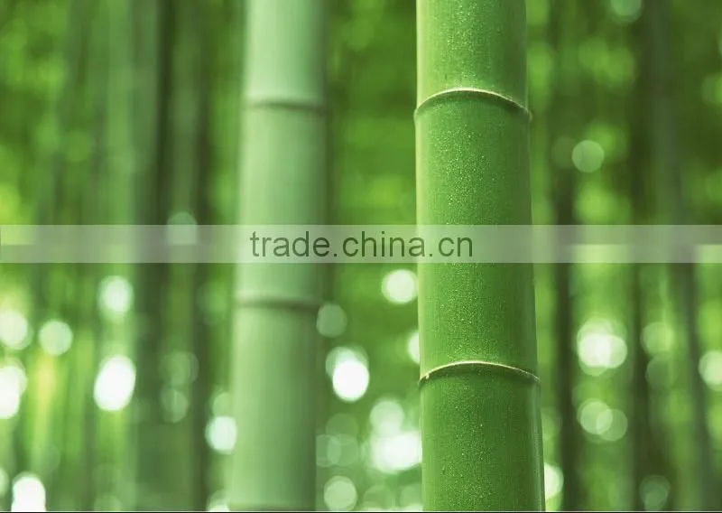 Bamboo Rolling Pin for Baking Dough Homex-BSCI Factory