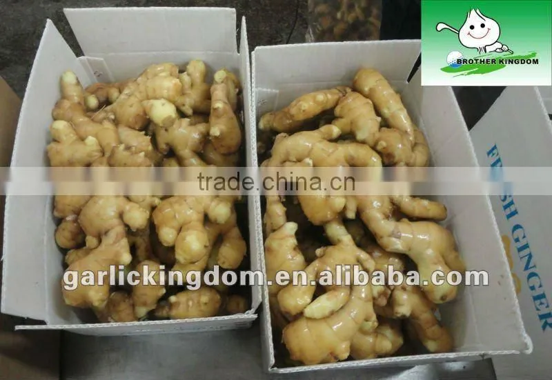 best quality chinese fresh ginger 150g up