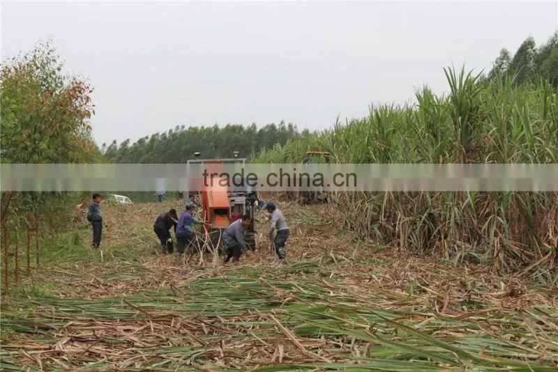 new agriculture sugarcane leaf shredding machine/sugar cane leaf removing machine from TAGRM