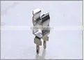 cheap electronic fuse clip 5.2x20mm