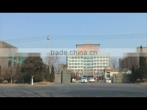 Shandong Hoteam Technology Group Co., Ltd. company overview - view 1