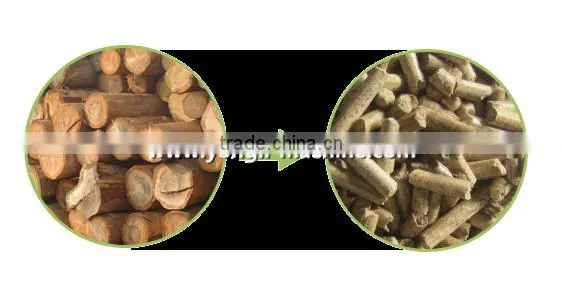 Wood pellet plant machine in energy saving equipment