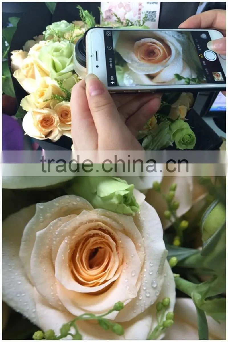10x Macro Lens Universal Clip Camera Cell Mobile Phone Lens For iPhone 4 5 6 Plus Samsung S6 for Sony Z3
