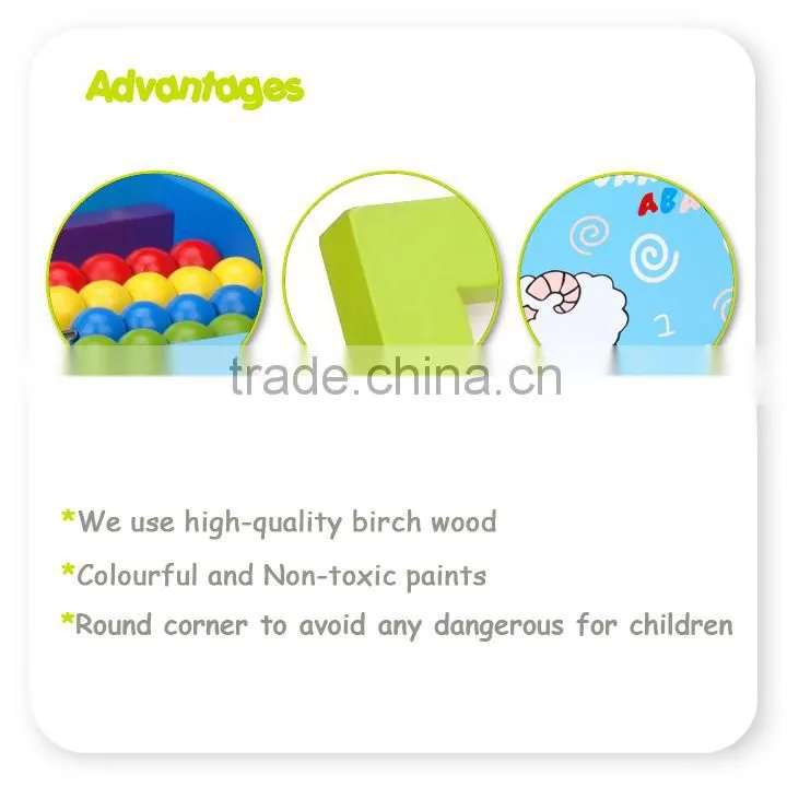 Wooden Funny Intelligence Toy