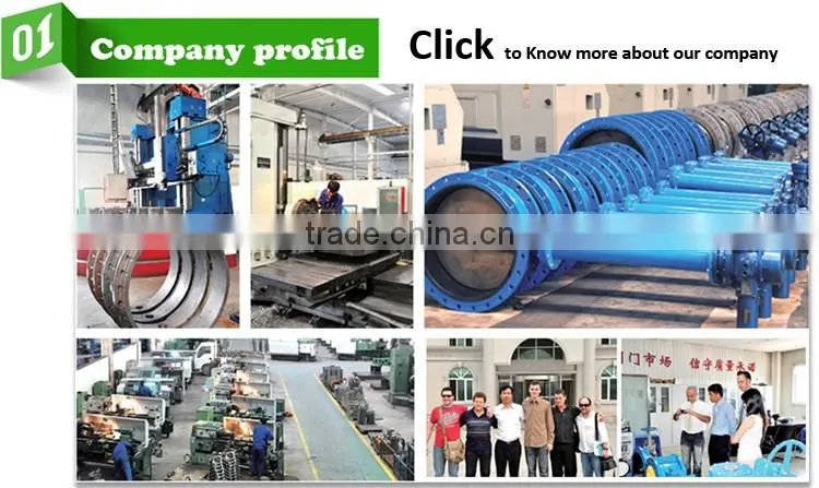 flange type gate valve