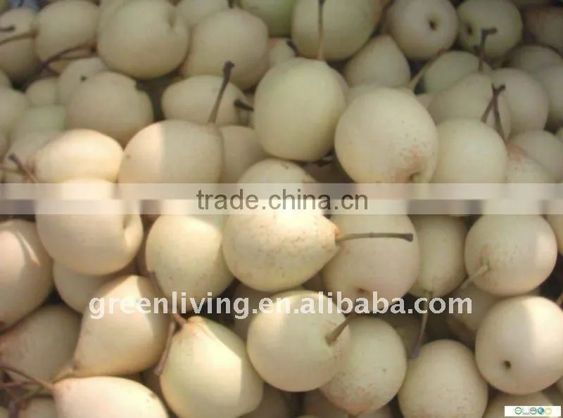 2011 best quality and lowest price ya pear (from china)