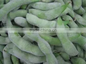 IQF Fresh Soybeans