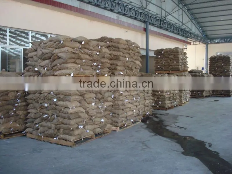chinese fresh tasty chestnut