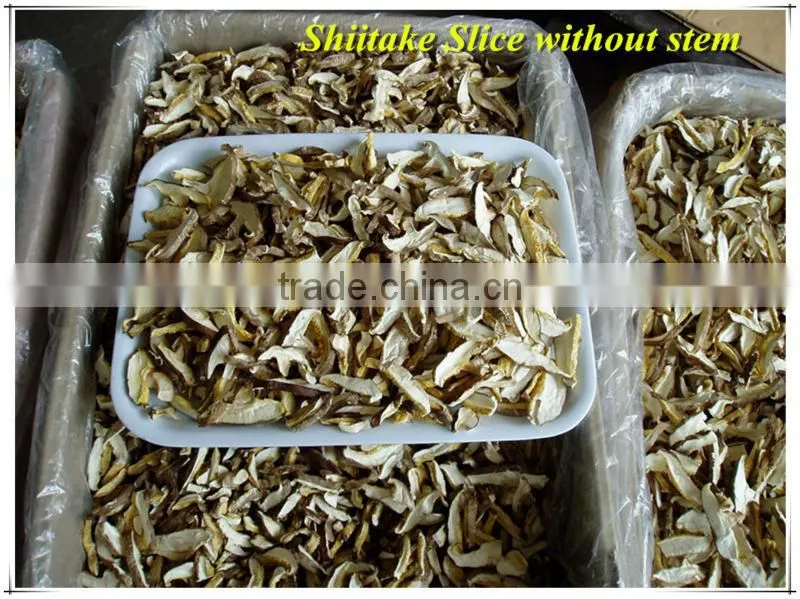 shiitake mushroom