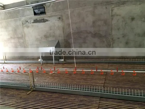 Poultry Chain Feeding System/Automatic Poultry Feeder For Broiler and Breeder Shed