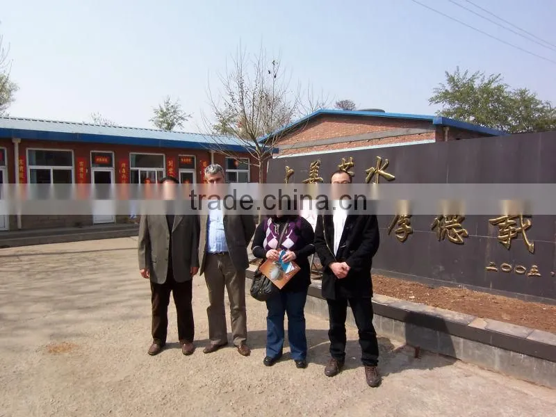 hebei smokehouse oven for beef sausage
