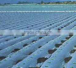 Plastic garden film for fruit planting
