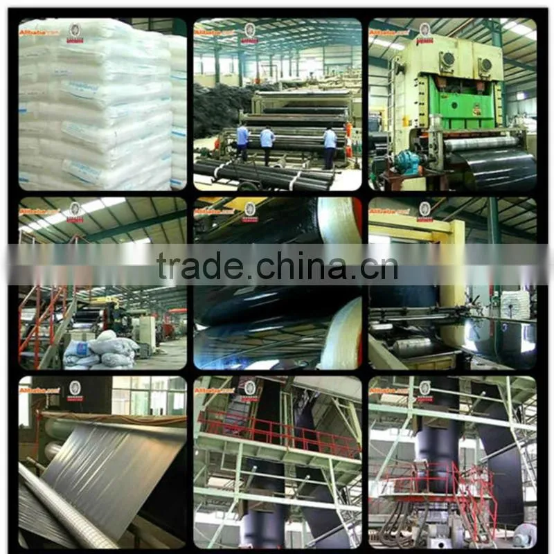Fish film Chinese manufacturer best price Geomembrane fish farm pond liner