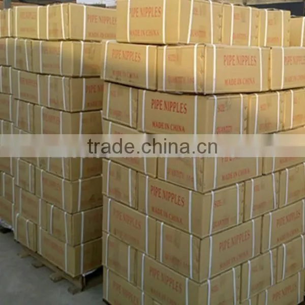 Hot Dipped Galvanized Pipe Fittings Carbon Steel Coupling