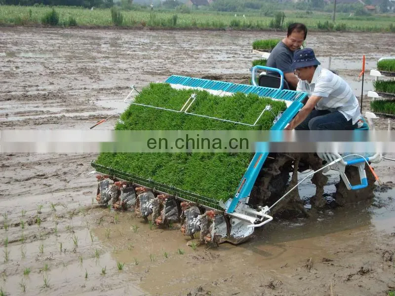 rice planting machine/paddy seeder/rice planter with factory price 0086-13838527397