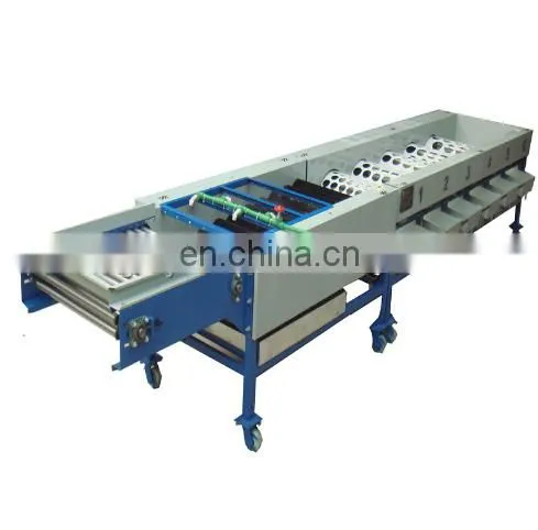 New offer prune sorting machine