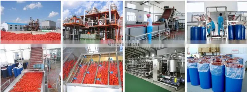 Factory tomato pulper evaporator sterilizer making machine canned Ketchup processing plant tomato sauce paste production line