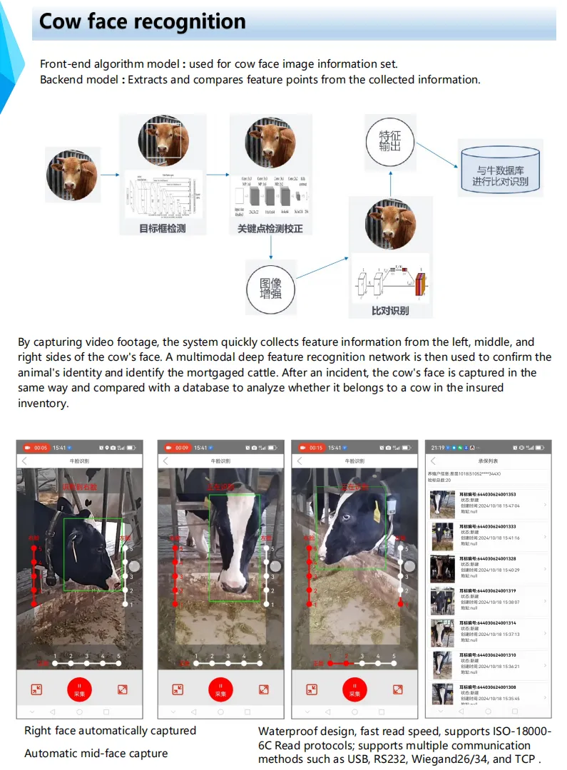 Cow cattle face recognition.png
