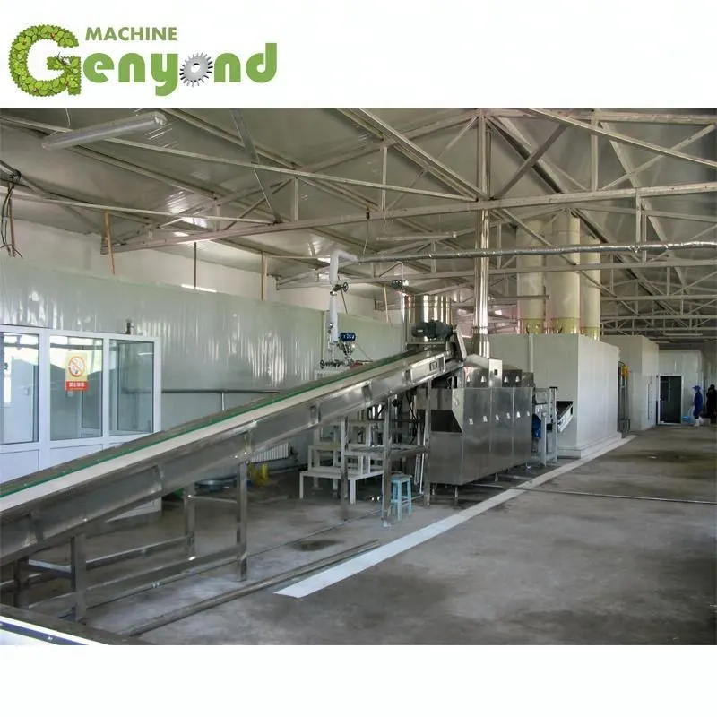 Automatic Frozen Fruit & Vegetable Processing Line