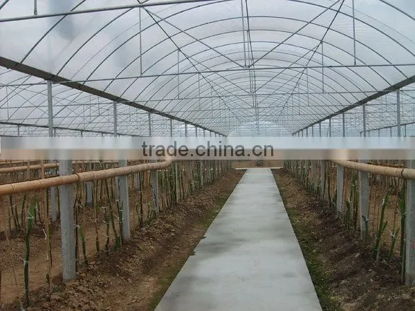 agricultural plastic greenhouse