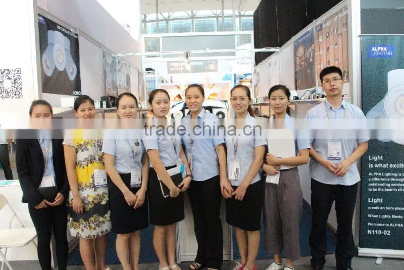 COB citizen Fixed high power led manufacturer light,manufacturer led light,led light manufacturer