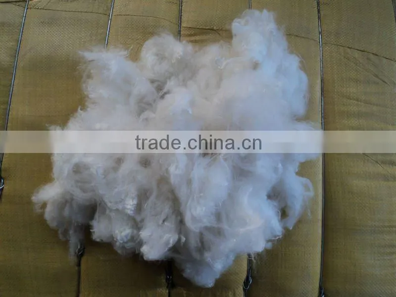 PP fiber