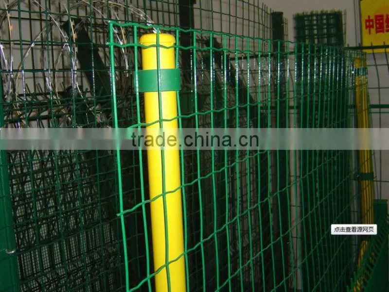 Import Galvanize Euro Fence/ PVC Coated Euro Fence