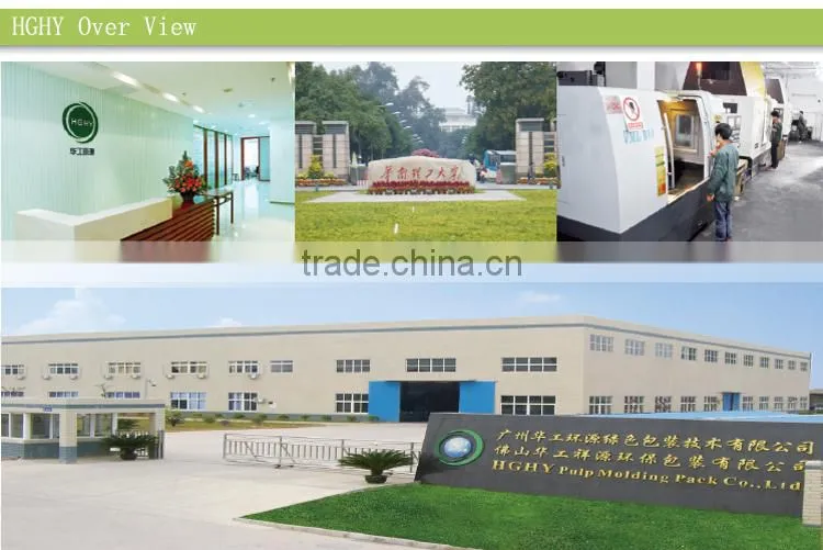 paper pulp molding machine pulp thermoforming machine